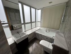 The Parc Condominium (D5), Condominium #561580671